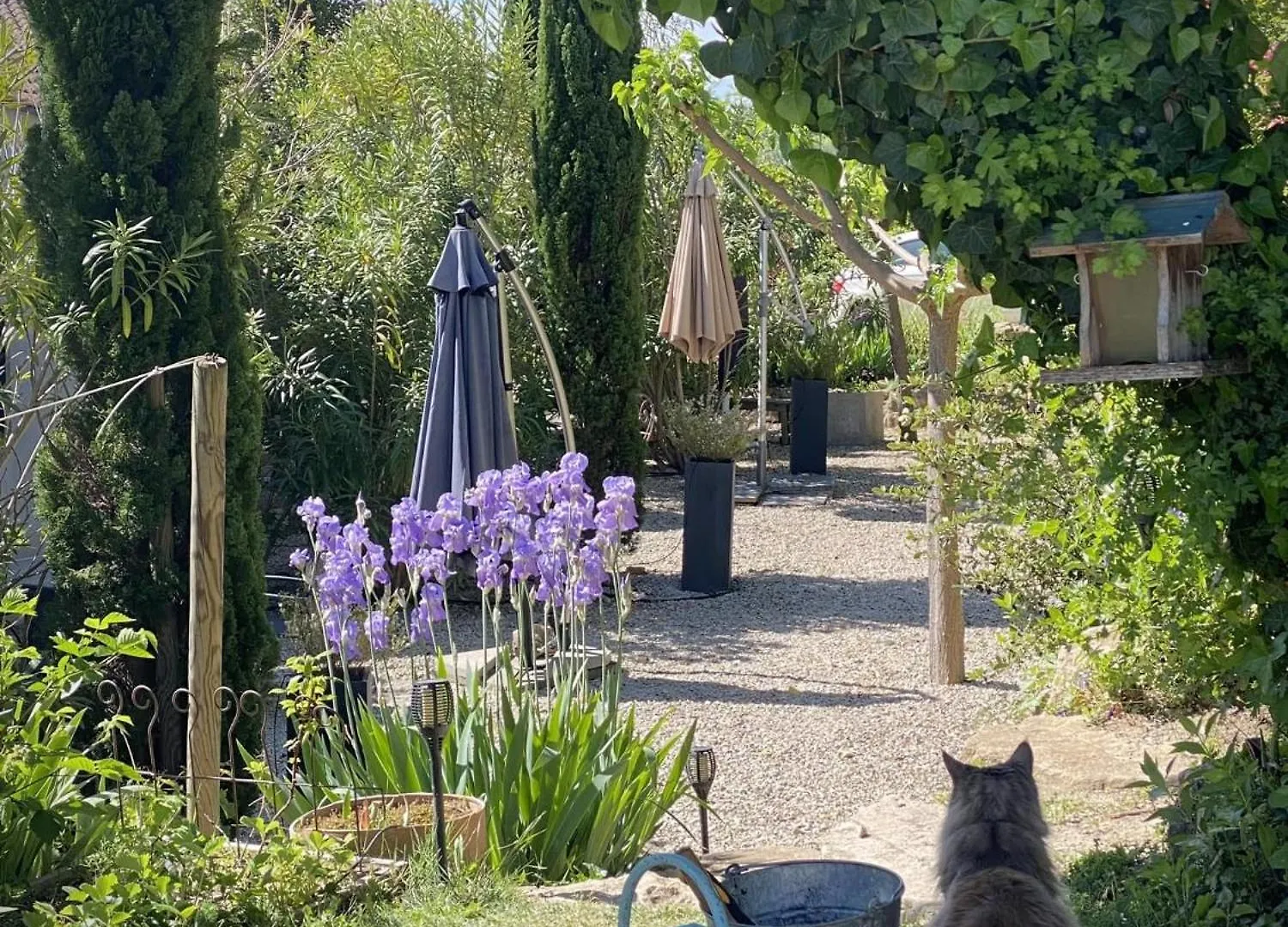 Le Jardin De Lau Villa Aubignan 0*,